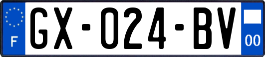 GX-024-BV