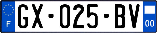 GX-025-BV