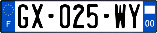 GX-025-WY