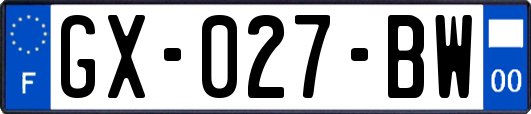 GX-027-BW