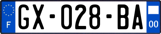 GX-028-BA