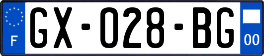 GX-028-BG