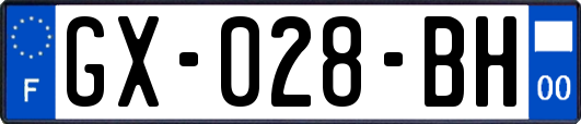 GX-028-BH