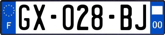 GX-028-BJ