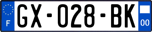 GX-028-BK