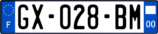 GX-028-BM