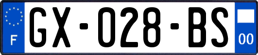 GX-028-BS