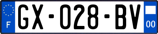 GX-028-BV