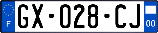 GX-028-CJ