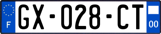 GX-028-CT