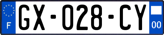 GX-028-CY