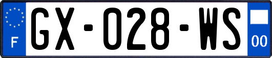 GX-028-WS