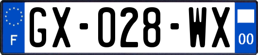 GX-028-WX