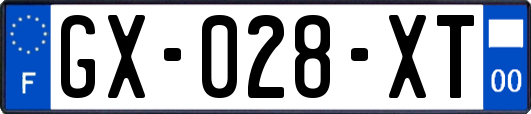 GX-028-XT