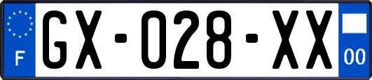 GX-028-XX