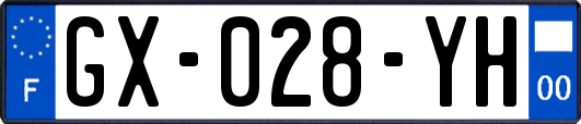 GX-028-YH