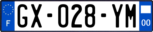 GX-028-YM