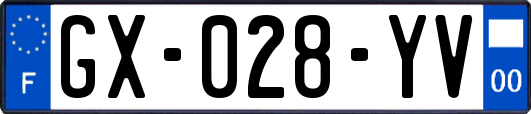 GX-028-YV