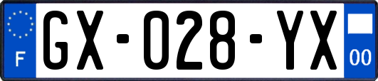 GX-028-YX
