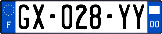 GX-028-YY