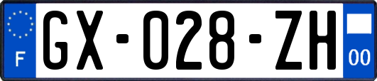GX-028-ZH