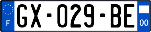 GX-029-BE