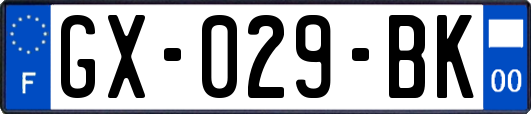GX-029-BK