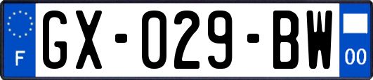 GX-029-BW