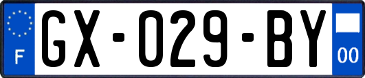 GX-029-BY