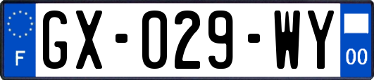 GX-029-WY