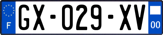 GX-029-XV