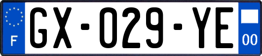 GX-029-YE