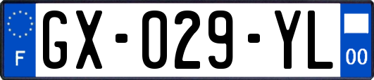 GX-029-YL