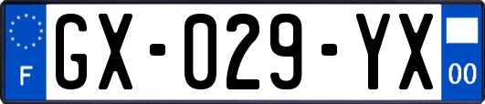 GX-029-YX