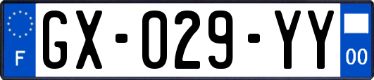 GX-029-YY