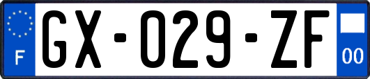 GX-029-ZF