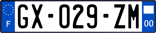 GX-029-ZM