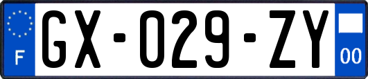 GX-029-ZY