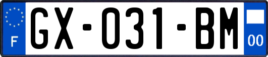 GX-031-BM