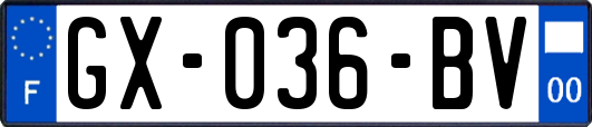 GX-036-BV