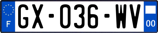GX-036-WV