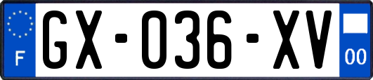GX-036-XV