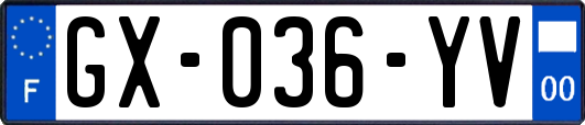 GX-036-YV
