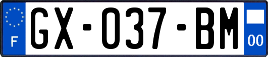 GX-037-BM