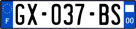 GX-037-BS