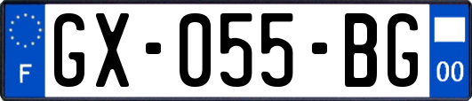 GX-055-BG