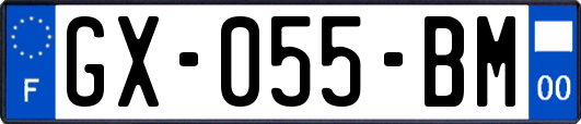 GX-055-BM