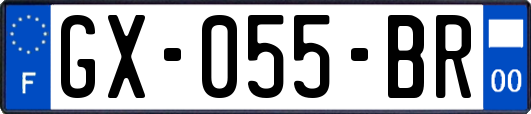 GX-055-BR