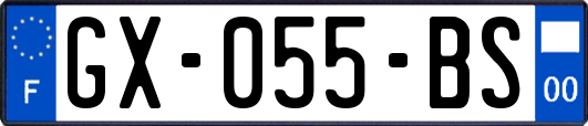 GX-055-BS