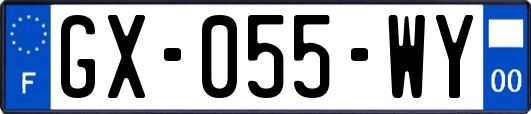 GX-055-WY